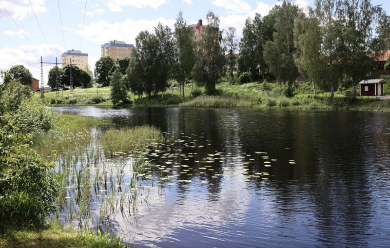 Uvån i Hagfors, där pojken hittades död i juni 2021. Foto: Joachim Lagercrantz/TT Uvån i Hagfors, där pojken hittades död i juni 2021. Foto: Joachim Lagercrantz/TT